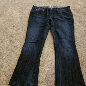 JOE'S Provocateur Jeans